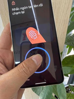 Google Pixel 8 Pro Trắng màn oled
