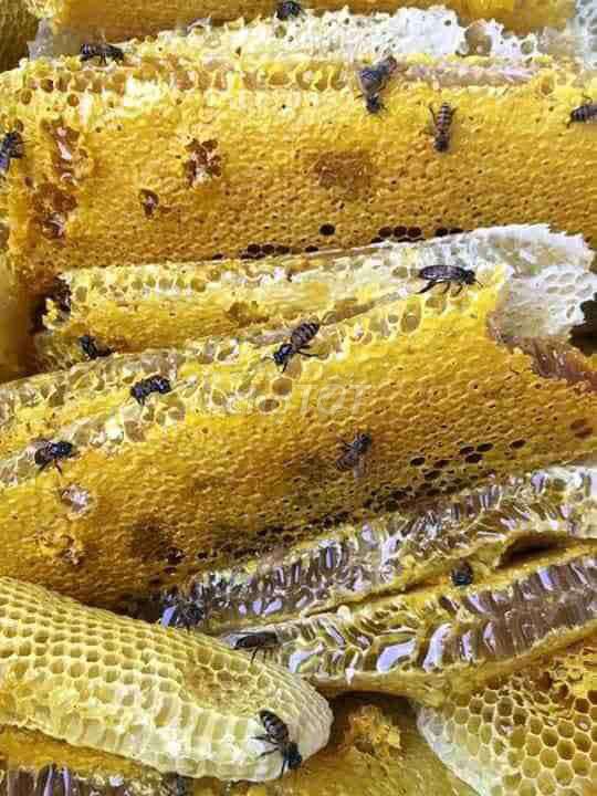 0974141691 - Mật ong từ nhụy hoa thiên nhiên