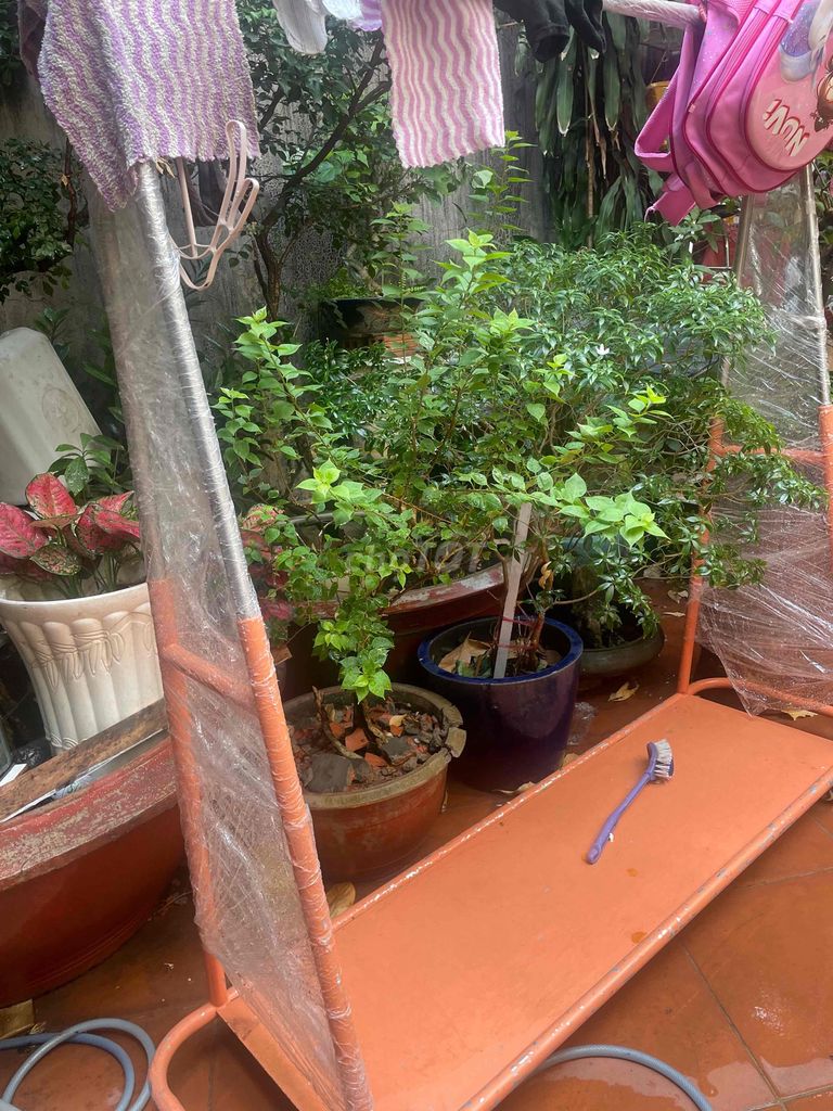 Sào phơi đồ di động Cam. Mua bán Nội thất, đồ gia dụng khác tại Quận Tân Bình Tp Hồ Chí Minh được đăng bởi hào hình 1