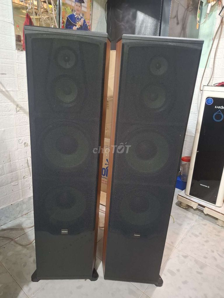 Loa đứng Paramax LX-2800. Mua bán Tivi, Âm thanh tại Quận Bình Tân Tp Hồ Chí Minh được đăng bởi Hoàng Mạnh Hồng  hình 1