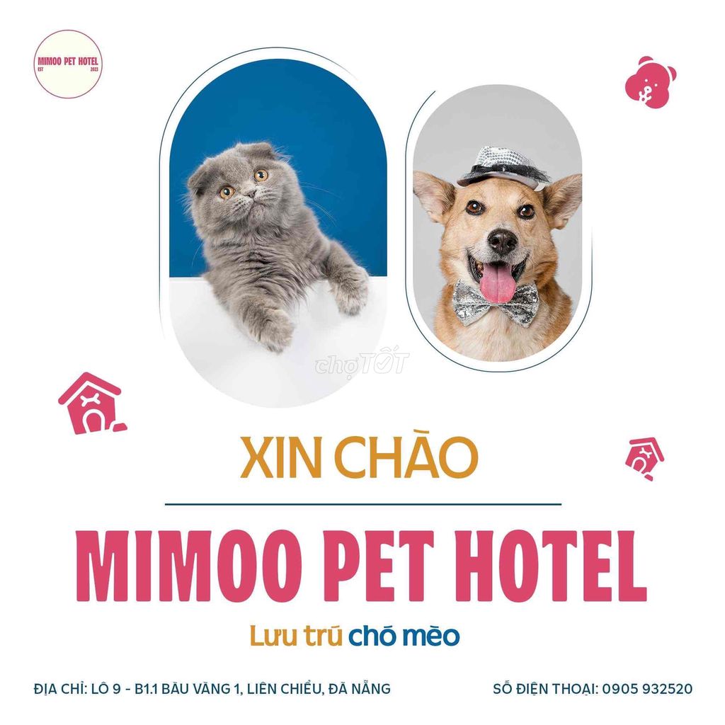 Lưu trú chó mèo - Mimoo Pet Hotel