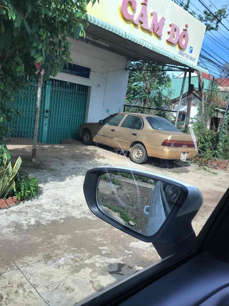 Ảnh số 5