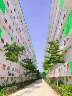 Căn hộ phường Bình Dương, TP HCM giá :206 triệu. Cam kết không đăng Ảo