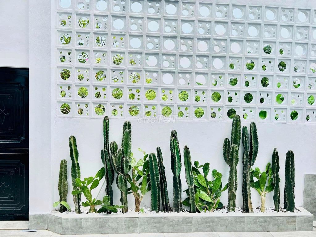 Bán nhà 8x20m 1 lầu ngay MT Trần Đại Nghĩa giá 1.2 tỉ, SHR