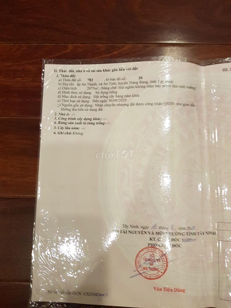 Nhà cấp 4 + đất rộng trảng bàng giá rẻ lâu dài. Cho thuê nhà ở tại Huyện Trảng Bàng Tây Ninh được đăng bởi Ms Candy hình 5