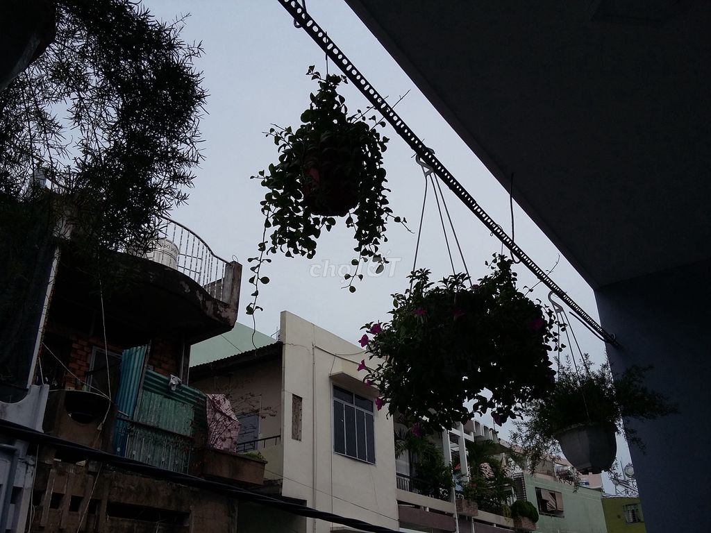 Bán nhà 1T1L hẻm xe tải Bàu Cát Tân Bình. Mua bán nhà ở tại Quận Tân Bình Tp Hồ Chí Minh được đăng bởi Anh Đại hình 4