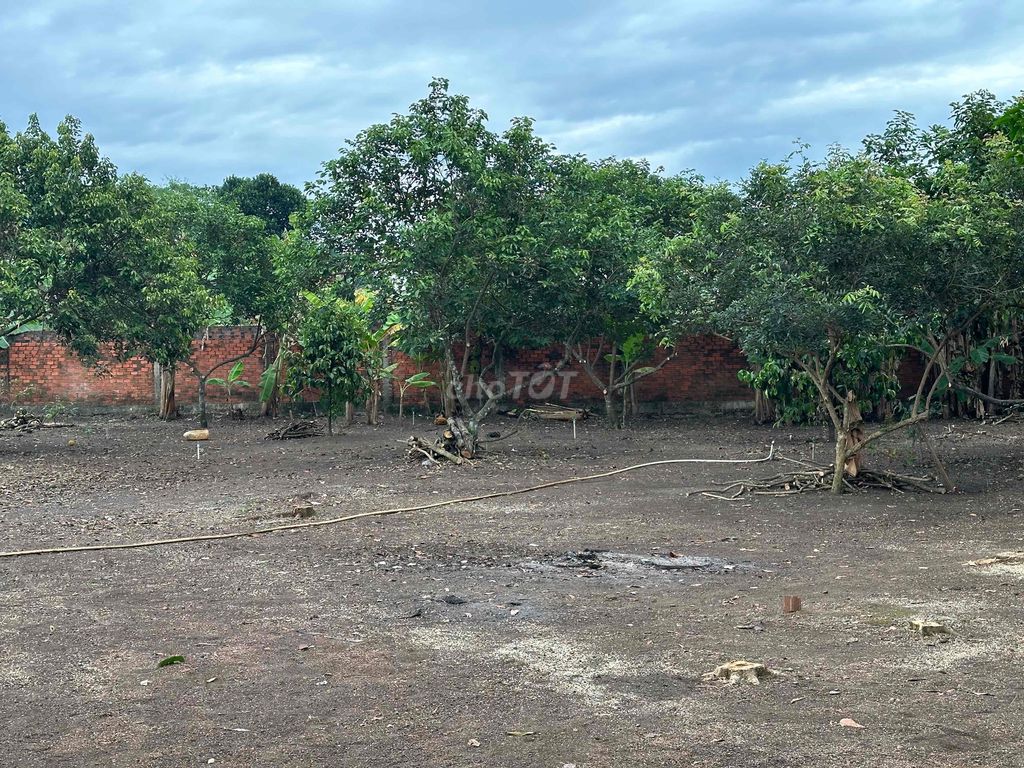 BÁN 4062M2 ĐẤT CHÍNH PHỦ ĐÃ PHỦ HỒNG-VỊ TRÍ ĐẸP, GIÁ TỐT. Mua bán đất tại Huyện Thống Nhất Đồng Nai được đăng bởi Công Tài hình 5