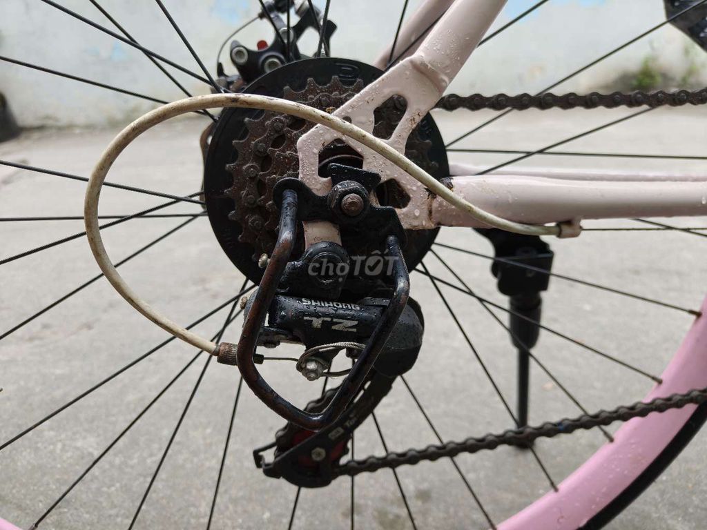 Xe đạp Shimano Nữ Hồng nhạt. Mua bán Xe đạp tại Thành phố Dĩ An Bình Dương được đăng bởi Nguyễn Thị Vân Anh hình 4