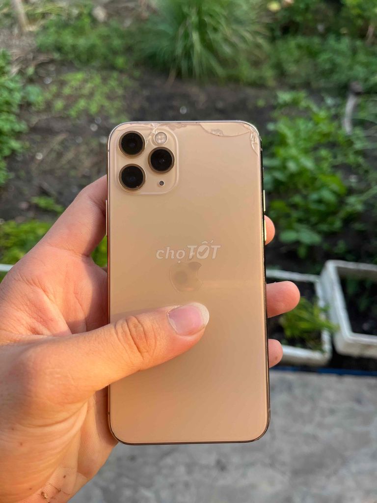 Apple iPhone 11 Pro Vàng Đã sử dụng. Mua bán Điện thoại tại Huyện Long Thành Đồng Nai được đăng bởi Trần Vũ hình 1