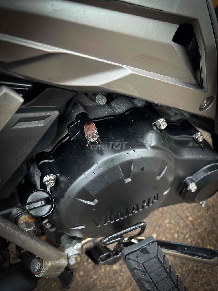 ex côn tự động đúng đời 1s94 dọn kiểng có cccd chu. Mua bán Xe máy tại Huyện Châu Đức Bà Rịa - Vũng Tàu được đăng bởi Nguyễn Văn Thái Sang hình 9