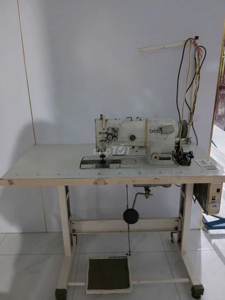 Máy may công nghiệp Brother 2 kim Trắng. Mua bán Đồ chuyên dụng, Giống nuôi trồng tại Huyện Cai Lậy Tiền Giang được đăng bởi THỊ THÚY DUY TRẦN hình 1