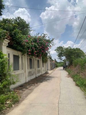 Plot of land 1118 m² · Đường Ngô Quang Thắm