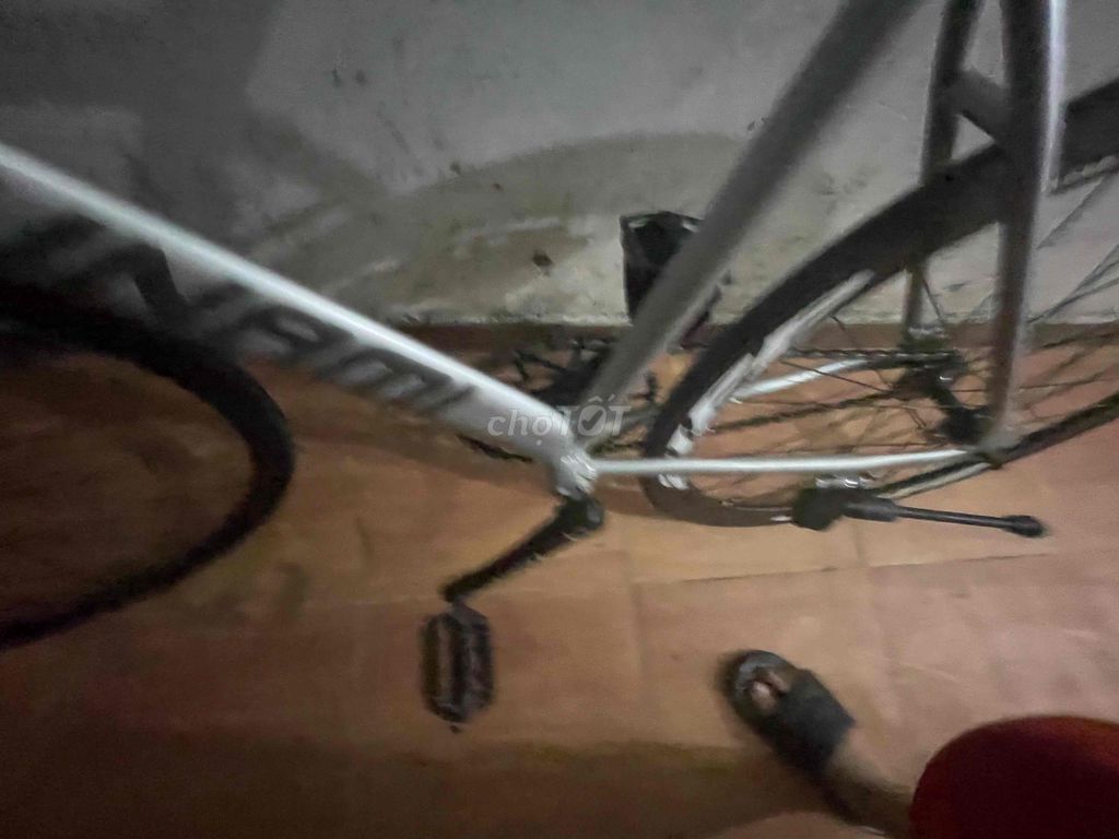 bán fixgear