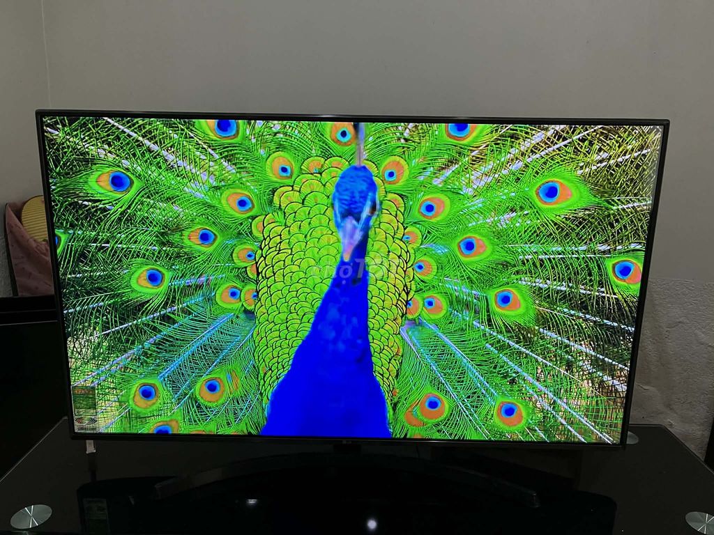 tivi LG 49inch đẹp nét. Mua bán Tivi, Âm thanh tại Quận Lê Chân Hải Phòng được đăng bởi Tuấn Tú hình 1