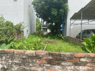 ĐẸP HOA HẬU - Ô TÔ TRÁNH - BÁN ĐẤT CỔ BI - GIA LÂM - 63M2 - 5.9 tỷ. Mua bán đất tại Huyện Gia Lâm Hà Nội được đăng bởi Đức Minh Dương