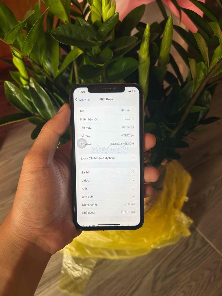 Apple iPhone Xs 256GB Vàng đồng. Mua bán Điện thoại tại Thành phố Bắc Ninh Bắc Ninh được đăng bởi Phan Công Quý hình 1