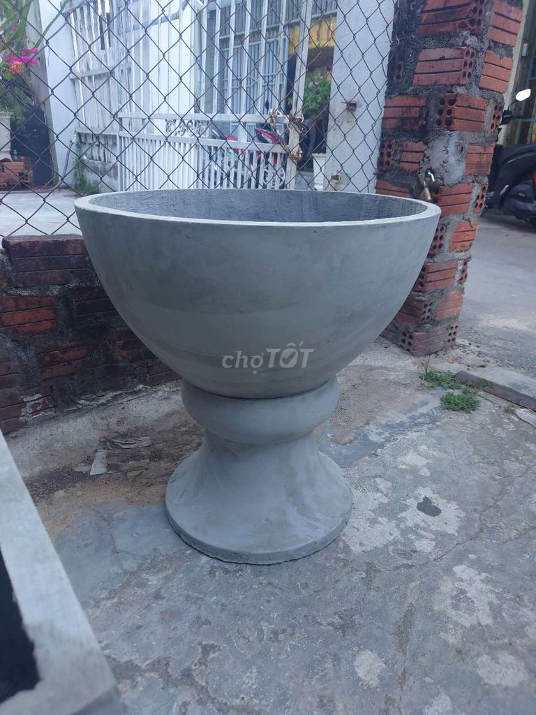 Chậu cây xi măng nhẹ xám. Mua bán Cây cảnh, đồ trang trí tại Quận Thanh Khê Đà Nẵng được đăng bởi Dũng hình 1
