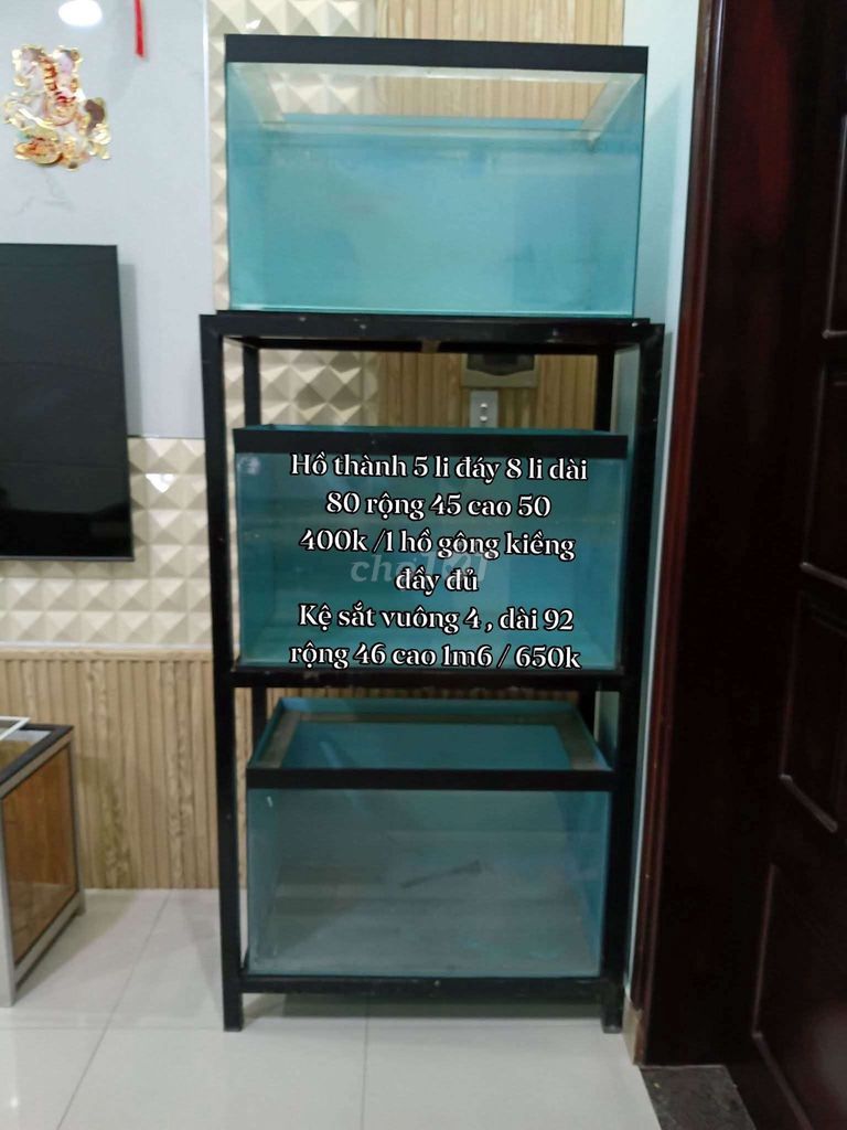 hồ kệ 3 tầng còn mới. Mua bán Phụ kiện, Thức ăn, Dịch vụ tại Quận Thanh Khê Đà Nẵng được đăng bởi Anh Duy Lê hình 1