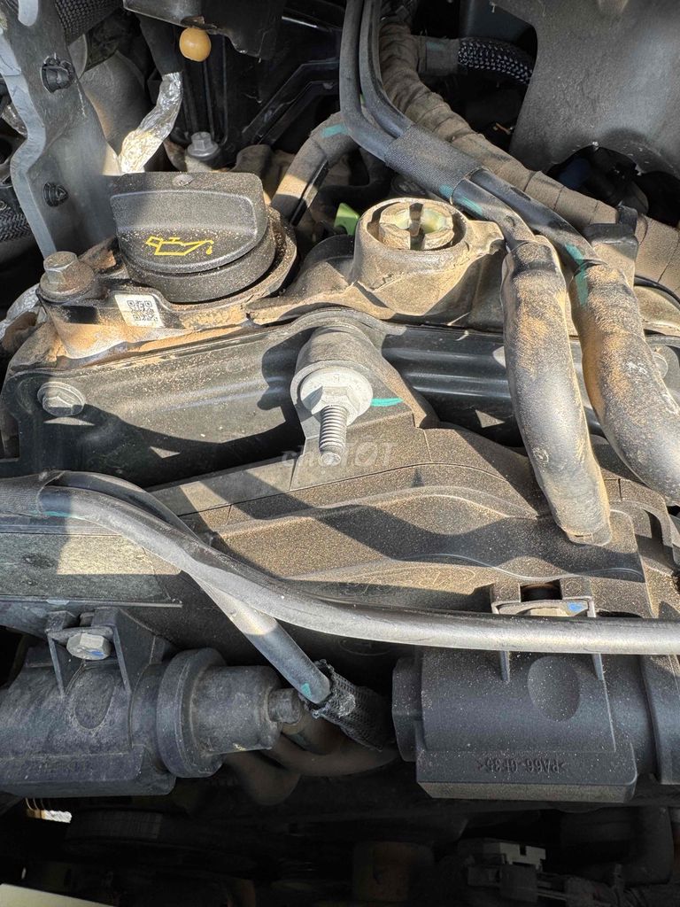 raptor 2022. Mua bán Ô tô tại Huyện Bắc Bình Bình Thuận được đăng bởi Vũ hình 11