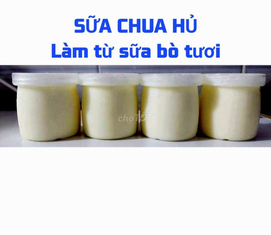Sữa chua Sữa bò tươi Tự nhiên 20 hũ. Mua bán Đồ ăn, thực phẩm và các loại khác tại Huyện Hóc Môn Tp Hồ Chí Minh được đăng bởi Nguyễn thế huy hình 1