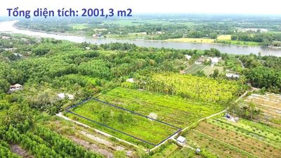 🚩Chính chủ ra gấp 24x90 = 2000m² đất đẹp Bến Lức – rẻ khu vực