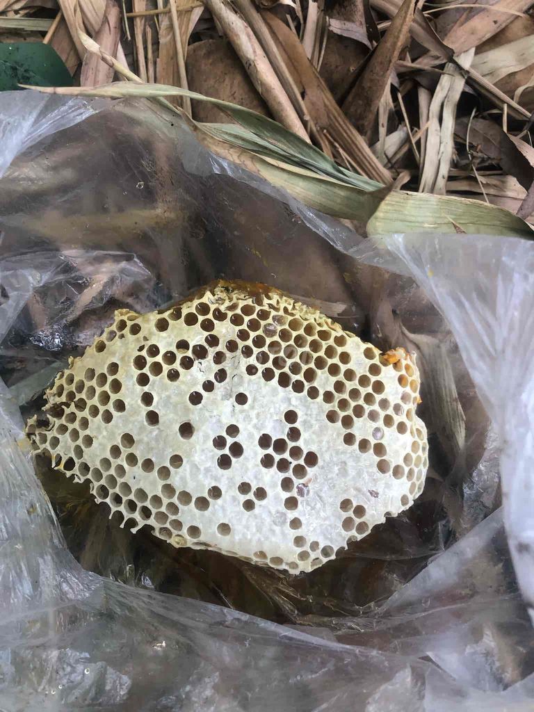 mật ong thiên nhiên. Mua bán Đồ ăn, thực phẩm và các loại khác tại Huyện Cờ Đỏ Cần Thơ được đăng bởi Hữu Thừa  hình 5