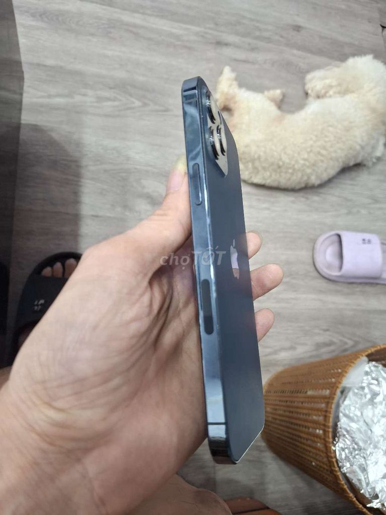 Apple iPhone 12 Pro Max 128GB Xám. Mua bán Điện thoại tại Quận Hoàng Mai Hà Nội được đăng bởi Ben hình 1