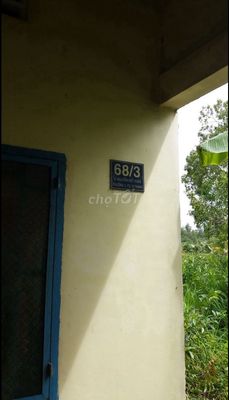 ĐẤT CÂY HÀNG NĂM PHƯỜNG 3 VỊ THANH