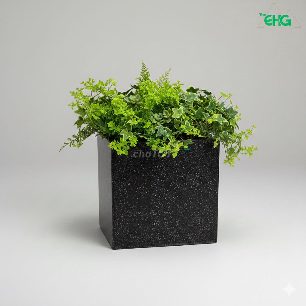 Chậu cây vuông đen 30x30x30cm. Mua bán Cây cảnh, đồ trang trí tại Thị xã Bến Cát Bình Dương được đăng bởi Fu6 hình 1