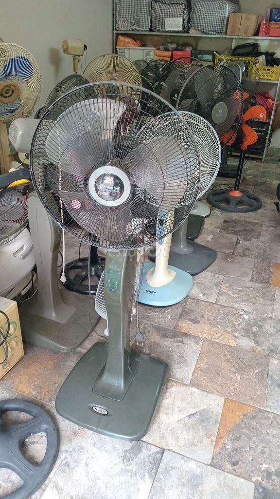 quạt đứng phong lan có khiển. Mua bán Quạt tại Quận Hải An Hải Phòng được đăng bởi Tuan Tran hình 1
