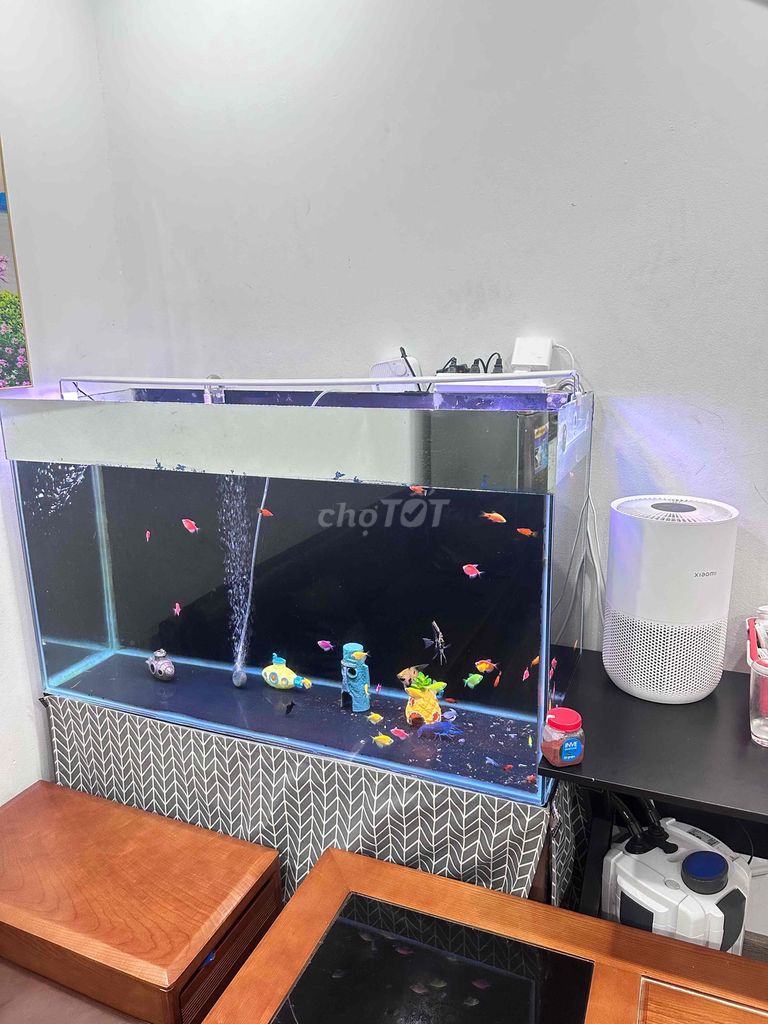 Bể cá cảnh Kính, Sắt 1m2x40cmx70cm. Mua bán Phụ kiện, Thức ăn, Dịch vụ tại Huyện Đan Phượng Hà Nội được đăng bởi Đào Xuân Hùng hình 1