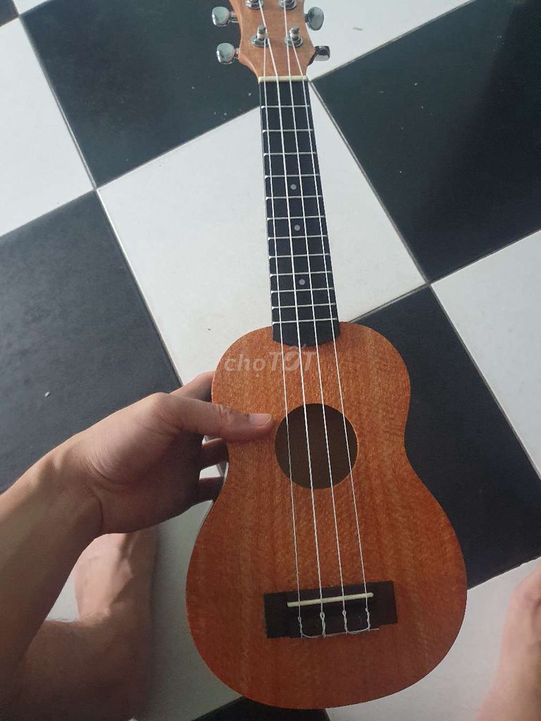 Đàn Ukulele màu Nâu. Mua bán Nhạc cụ tại Quận Nam Từ Liêm Hà Nội được đăng bởi v hình 1