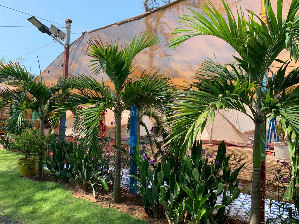 MỘT NHÂN VIÊN TẠP VỤ TIẾN THÀNH PHAN THIẾT. Việc làm Tạp vụ tại Thành phố Phan Thiết Bình Thuận được đăng bởi Vi Tường hình 2