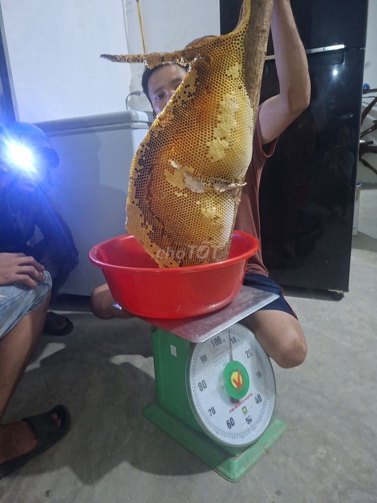 Mật ong nguyên tổ Đắk Lắk. Mua bán Đồ ăn, thực phẩm và các loại khác tại Huyện Krông Pắc Đắk Lắk được đăng bởi Tên chưa cung cấp hình 1