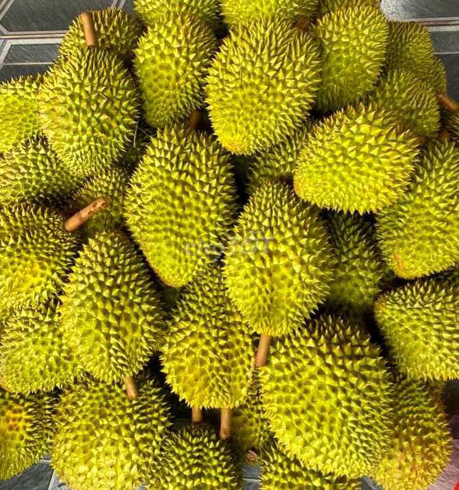Sầu riêng Ri6. Mua bán Đồ ăn, thực phẩm và các loại khác tại Quận Cái Răng Cần Thơ được đăng bởi NAS Shop hình 1