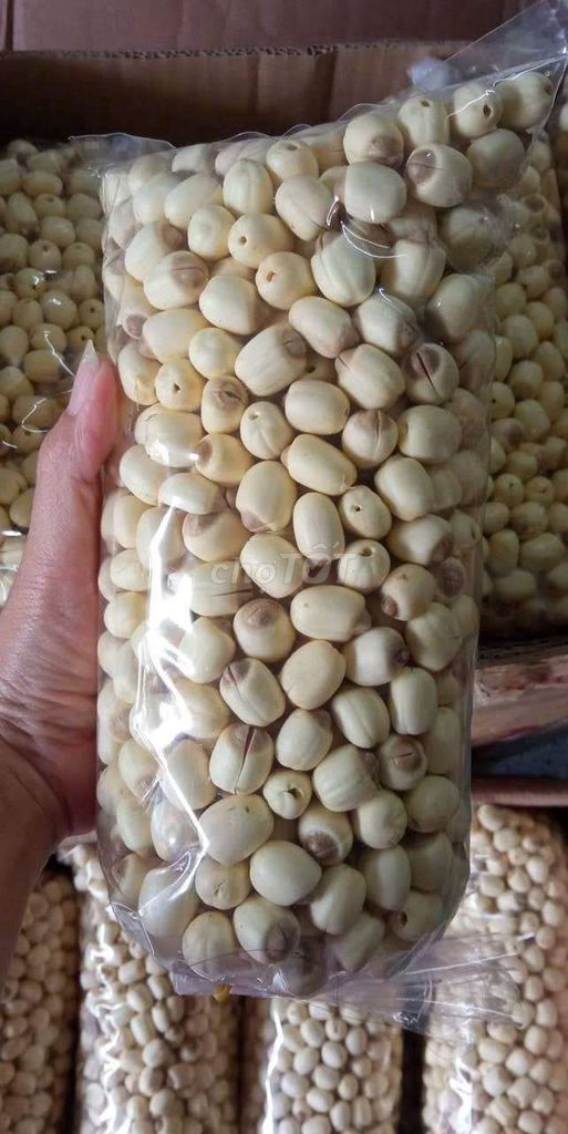 Hạt sen tươi Hội An. Mua bán Đồ ăn, thực phẩm và các loại khác tại Quận Cẩm Lệ Đà Nẵng được đăng bởi Nội Thất Thư Hiệp hình 1