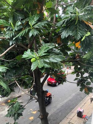 Căn góc lầu 1 chung cư Vườn Lài, 72m2, 2 phòng ngủ