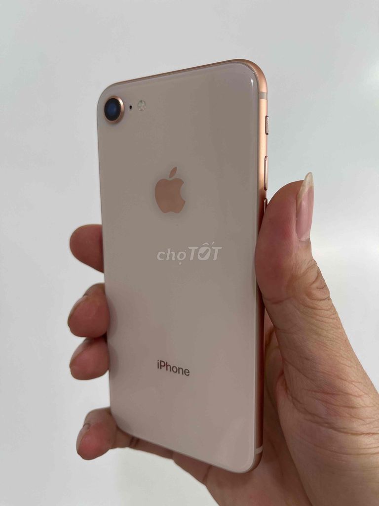 iPhone 8 64GB máy full cn k lỗi lầm pin 100 sài ok. Mua bán Điện thoại tại Quận Hải Châu Đà Nẵng được đăng bởi phan văn hiệp hình 1