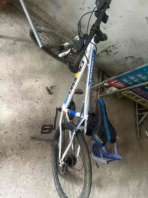 bán xe đạp do không có nhu cầu sử dụng. Mua bán Xe đạp tại Thị xã Tân Uyên Bình Dương được đăng bởi Phan Hải