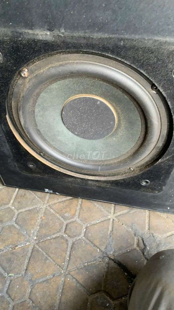 Loa siêu trầm SoundMax B50 Đen. Mua bán Tivi, Âm thanh tại Quận Tân Bình Tp Hồ Chí Minh được đăng bởi Anh ngọc  hình 1