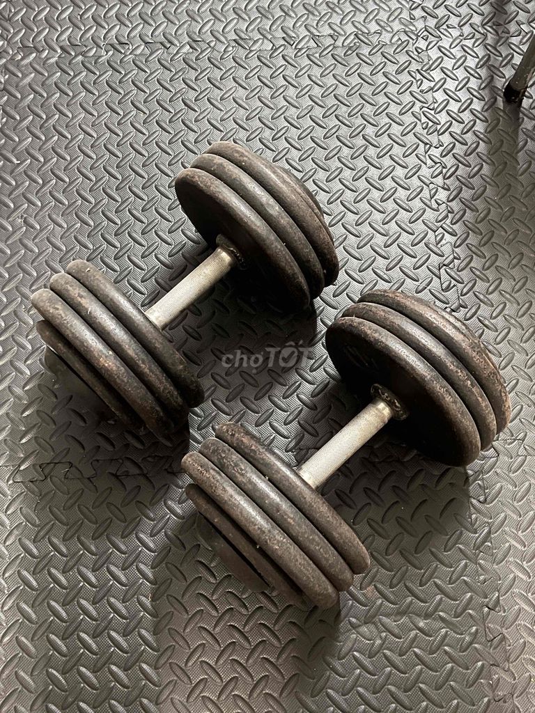 pass cặp tạ dumbell 34kg