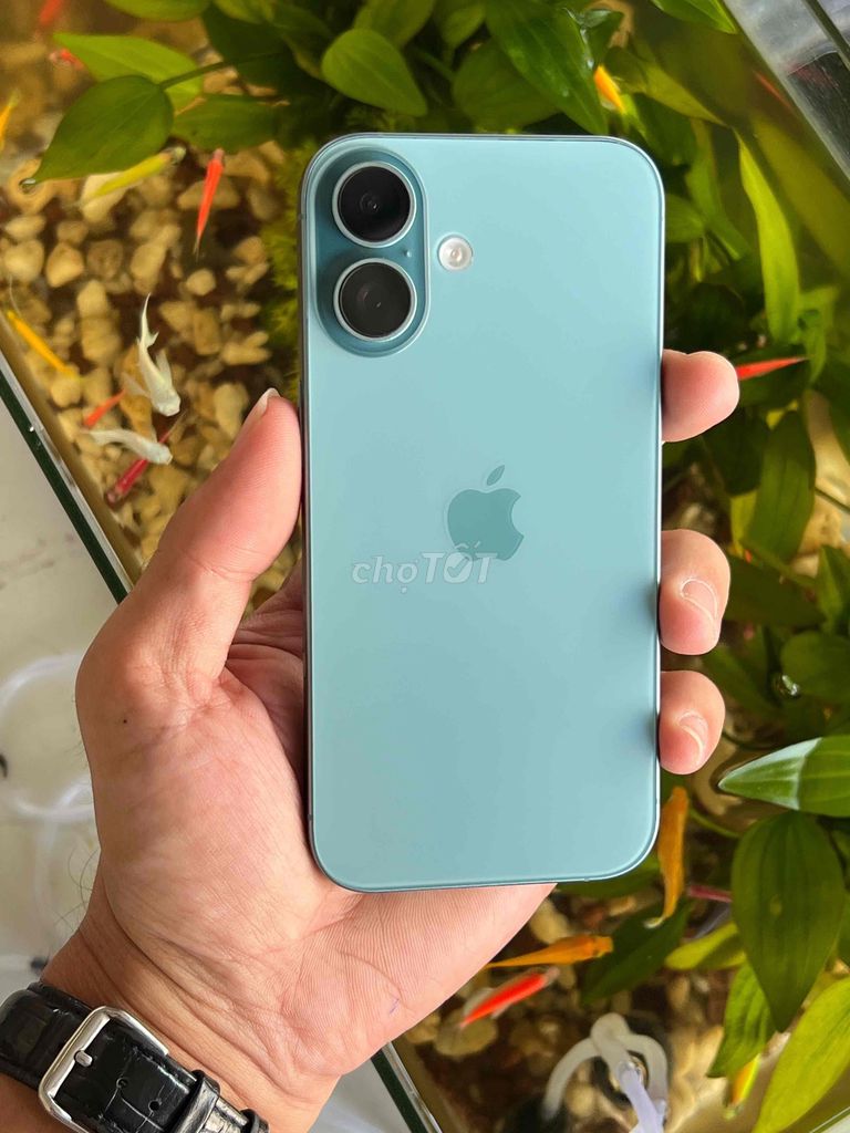 Apple iPhone 16 128GB Xanh VN/A 99%. Mua bán Điện thoại tại Thành phố Bà Rịa Bà Rịa - Vũng Tàu được đăng bởi Táo Ngọt hình 1