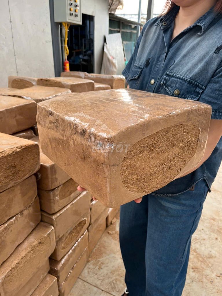 VIÊN NÉN SƠ DỪA 5KG. Mua bán Cây cảnh, đồ trang trí tại Huyện Gia Lâm Hà Nội được đăng bởi Hoàng thị muôn hình 1