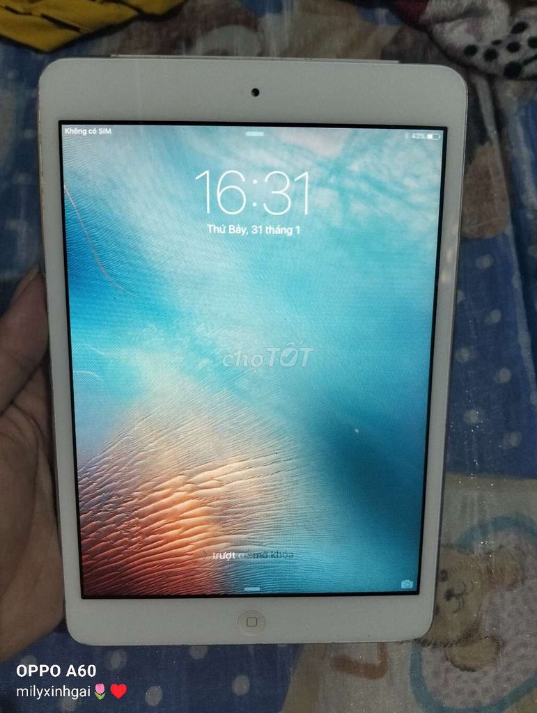 Apple iPad Mini 1 16GB Bạc 4G. Mua bán Máy tính bảng tại Huyện Củ Chi Tp Hồ Chí Minh được đăng bởi Thu Thảo hình 1