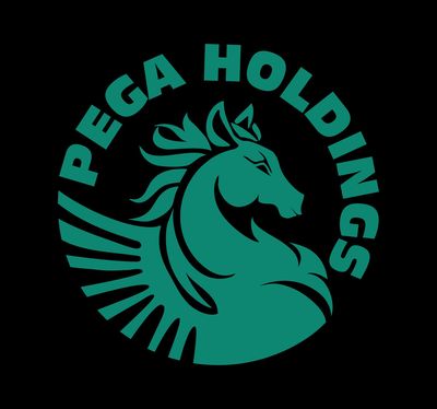 CTY CỔ PHẦN PEGA HOLDINGS logo