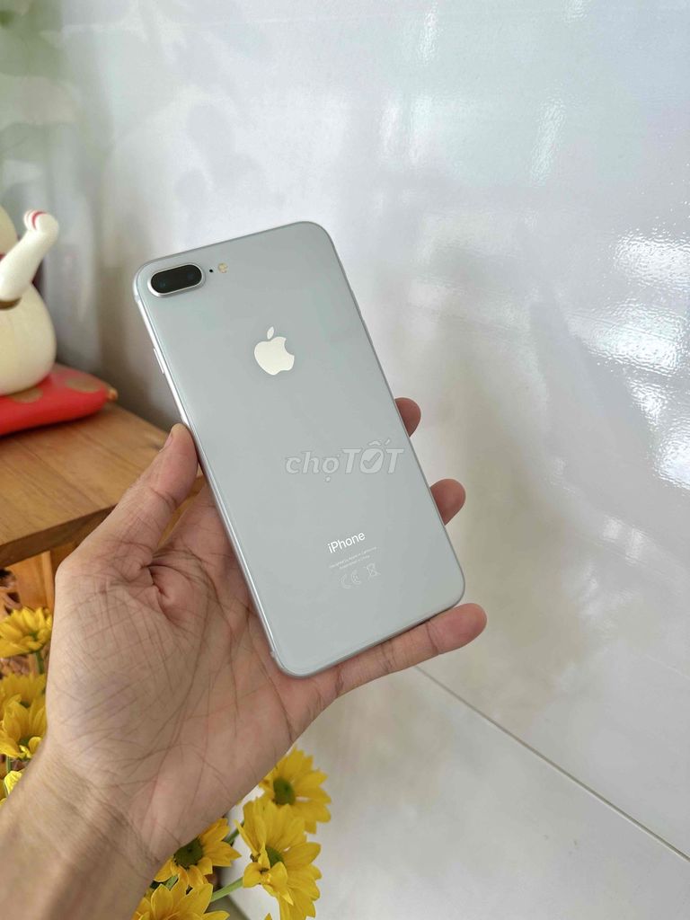 iPhone 8 Plus 64GB Bạc Đã qua sử dụng. Mua bán Điện thoại tại Thành phố Long Xuyên An Giang được đăng bởi phong LX  hình 1