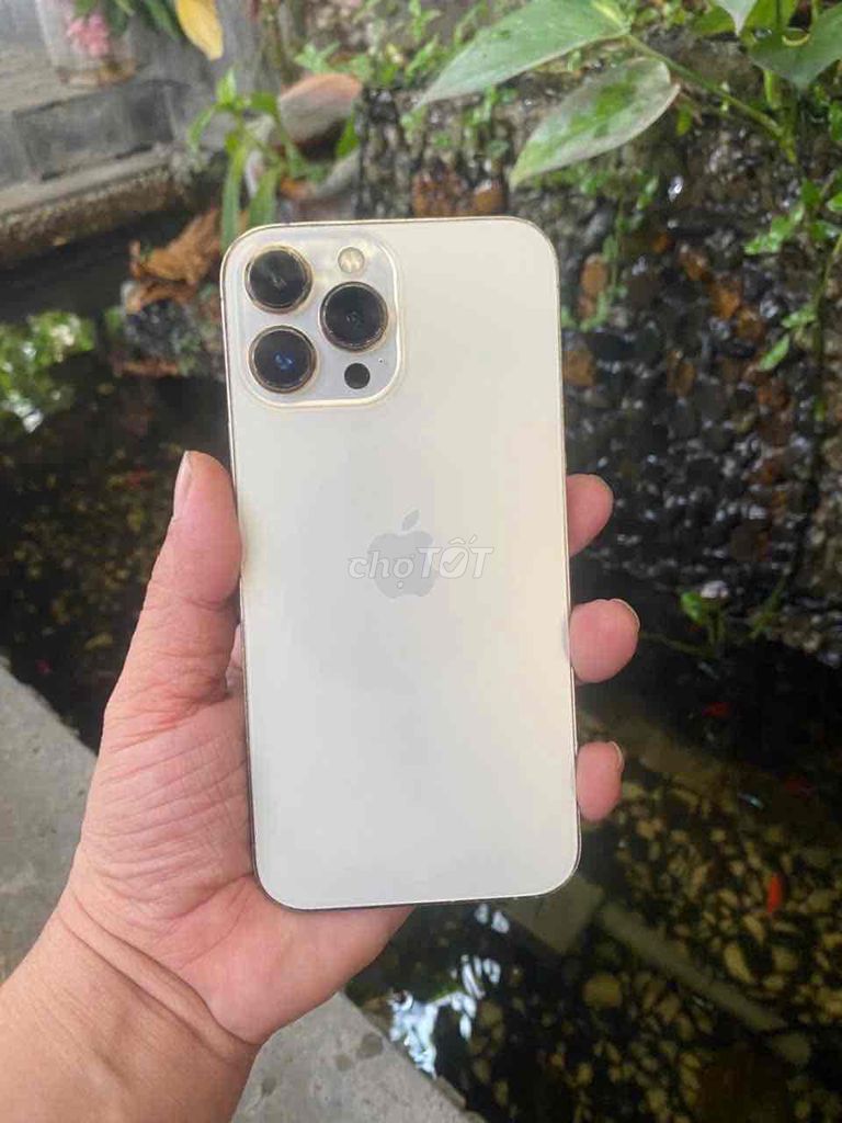 iPhone 13 Pro Max 256GB face nhạy, quốc tế. Mua bán Điện thoại tại Thành phố Thủ Đức Tp Hồ Chí Minh được đăng bởi Nguyen Vu Phi Hai  hình 1