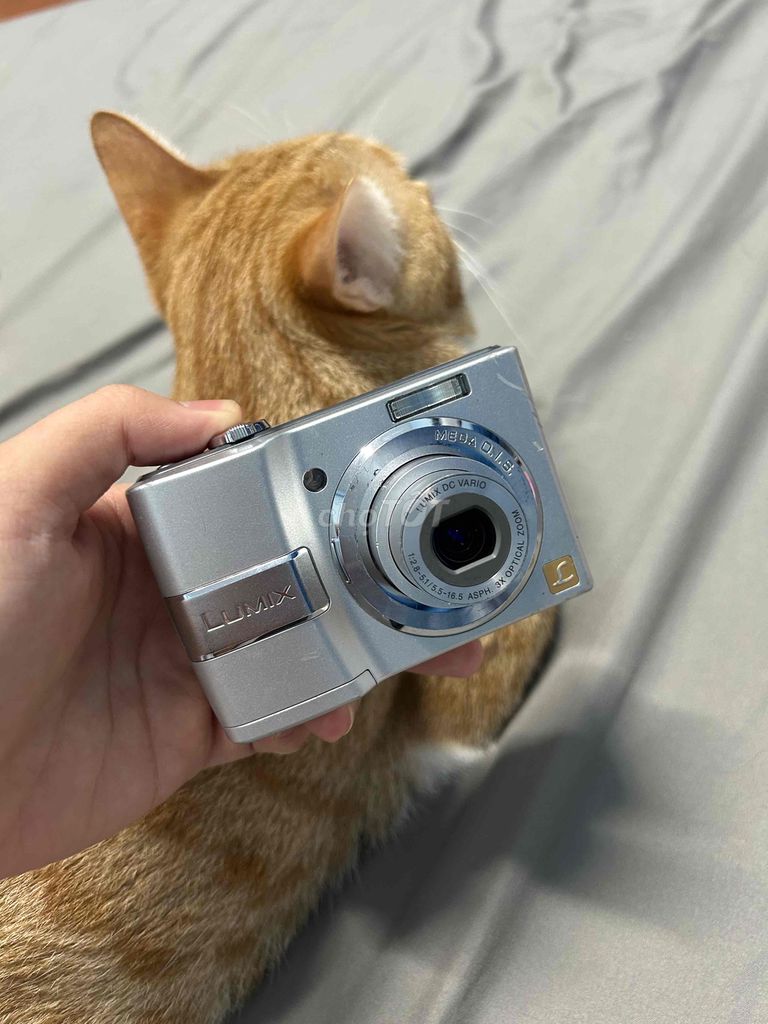 Máy ảnh Panasonic DMC-LS80 Bạc. Mua bán Máy ảnh, Máy quay tại Quận Bình Tân Tp Hồ Chí Minh được đăng bởi Đặng Như hình 1