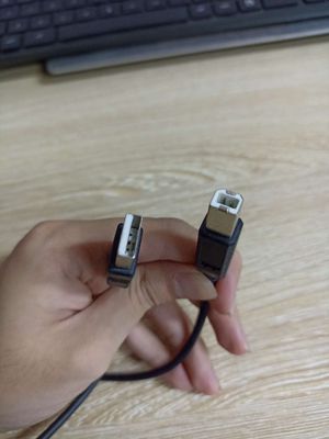 Cáp USB Type A - USB Type B