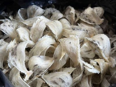 Tổ yến thô 8kg. Mua bán Đồ ăn, thực phẩm và các loại khác tại Quận Gò Vấp Tp Hồ Chí Minh được đăng bởi BÙI THỊ YẾN OANH 